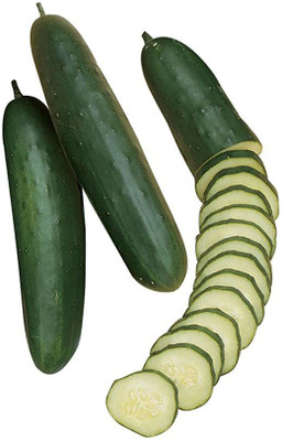 Sjeme Early Pride Cucumber Seeds- 85 Seed(85 per packet)