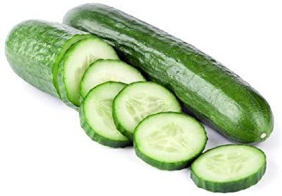 Sjeme Long Green Improved Cucumber Seeds- 180 Seed(180 per packet)