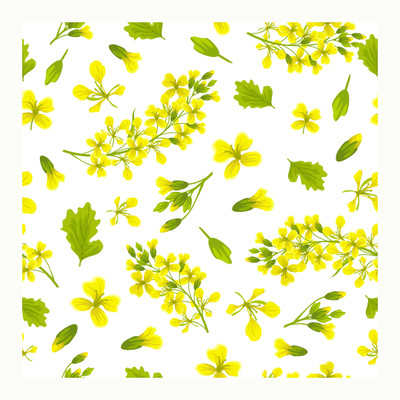 BPDESIGNSOLUTION Vinyl Floral & Botanical Multicolor Wallpaper(L x W: 41 cm x 325 cm)