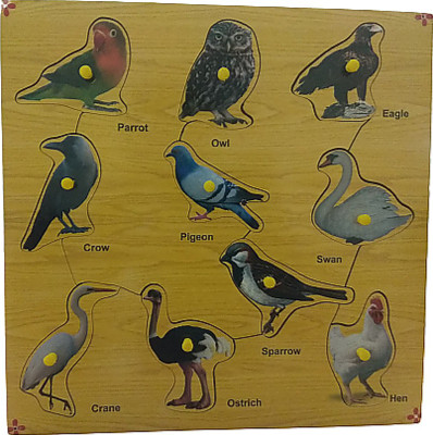 GKids Wooden Colorful Birds With Knobs Learning and Educational Puzzle Tray for Kids Age 2 And Above(10 Pieces)