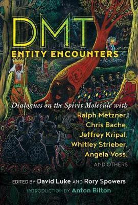 DMT Entity Encounters(English, Paperback, unknown)