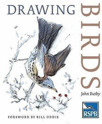 Drawing Birds(English, Paperback, Busby John)