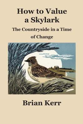 How to Value a Skylark(English, Paperback, Kerr Brian)