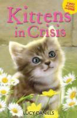 Animal Ark: Kittens in Crisis(English, Paperback, Daniels Lucy)