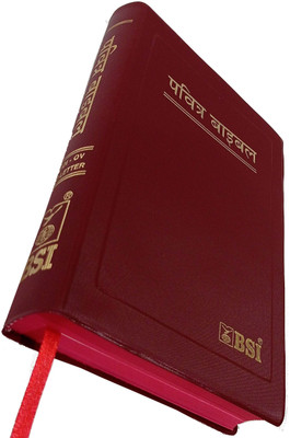 Holy Bible Hindi Red Edge (Red Letter) Edition Containing Old And New Testament BSI(vinyl Bound, Hindi, God's Word)