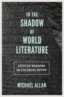 In the Shadow of World Literature(English, Paperback, Allan Michael)