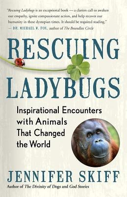 Rescuing Ladybugs(English, Paperback, Skiff Jennifer)
