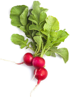 XOLDA Red Radish Imported Seed(30 per packet)