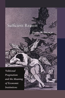 Sufficient Reason(English, Paperback, Bromley Daniel W.)