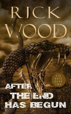 After the End Has Begun(English, Paperback, Wood Rick)