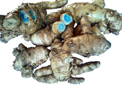 Sri chakra Black Turmeric/Kali Haldi/Nalla Pasupu/Karumanjal Seed(1 per packet)