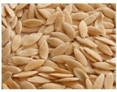 Sjeme Kakdi Seed(400 per packet)