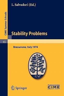 Stability Problems(English, Paperback, unknown)