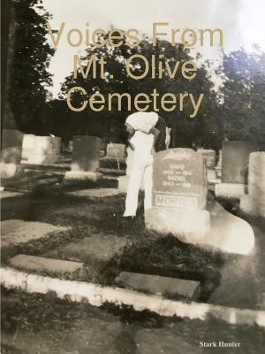 Voices From Mt. Olive Cemetery(English, Paperback, Hunter Stark)