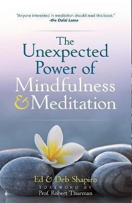 The Unexpected Power of Mindfulness and Meditation(English, Paperback, Shapiro Ed)
