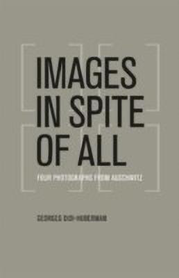 Images in Spite of All(English, Paperback, Didi-Huberman Georges)