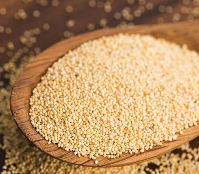 organic orchard Poppy Seeds Poppy Seeds(400 g)