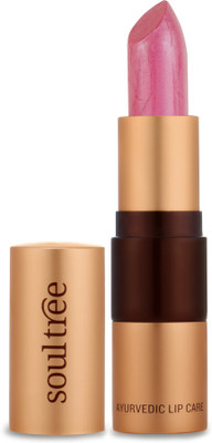 SoulTree Ayurvedic Lipstick - 655 Sunshine Colour(Sunshine, 4 g)