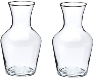 AGAMI Beautiful Transparent Bootle Shape Glass Pots for flowers and plants Plant Container Set(Pack of 2, Glass)