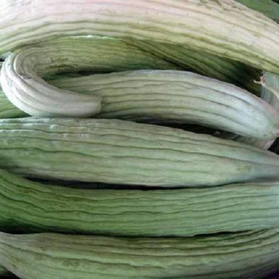 LRYS Summer Season Kakri / Long Melon Seed- 70 Seed(70 per packet)