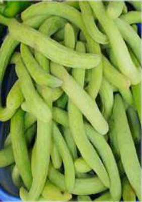 LRYS Cucumber Kakri / Long Melon Seed- 70 Seed(70 per packet)