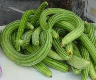LRYS Desi Kakri / Long Melon Seed- 40 Seed(40 per packet)