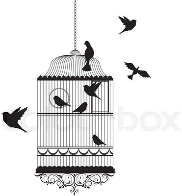 amazinghubsolution 60 cm a....newbirdwallsticker Self Adhesive Sticker(Pack of 1)