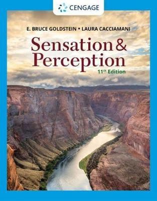 Sensation and Perception(English, Paperback, Goldstein E.)