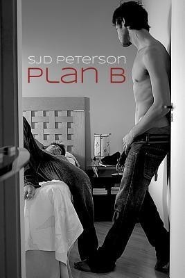 Plan B(English, Paperback, Peterson SJD)