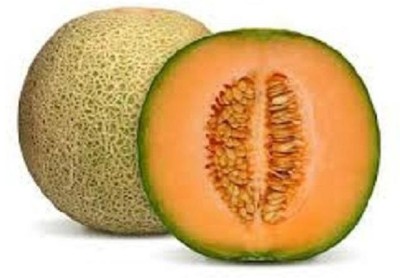 LYRS Kharbuj / Musk Melon Seed- 250 Seed(250 per packet)