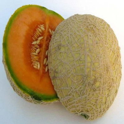 LYRS Hara Madhu Kharbuj / Musk Melon Seed- 500 Seed(500 per packet)