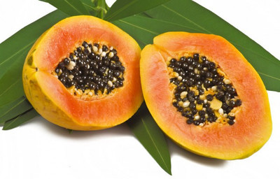 Corofitam PAPAYA Seed(25 per packet)