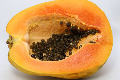 Corofitam PAPAYA Seed(25 per packet)