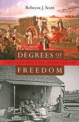 Degrees of Freedom(English, Paperback, Scott Rebecca J.)