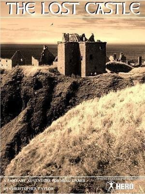 The Lost Castle(English, Paperback, Taylor Christopher)