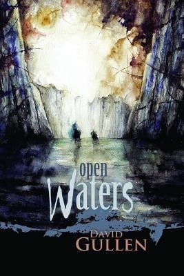 Open Waters(English, Paperback, Gullen David)