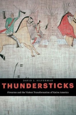 Thundersticks(English, Hardcover, Silverman David J.)