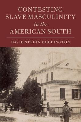 Contesting Slave Masculinity in the American South(English, Hardcover, Doddington David Stefan)