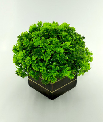 RESILIENCE Fancy Plants for Gifts and Home Decoration Bonsai Wild Artificial Plant  with Pot(13.5 cm, Green)