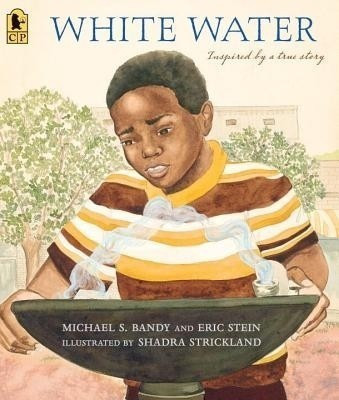 White Water(English, Paperback, Bandy Michael S.)