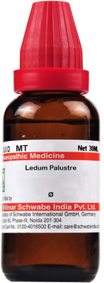 Dr.Willmar Schwabe India Ledum Palustre Q Mother Tincture(30 ml)