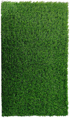 7 CLOUDS INDIA PP (Polypropylene) Door Mat(Green, Medium)