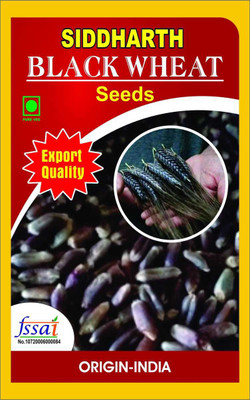 SIDDHARTH FISH FARM black wheat Seed(1 per packet)