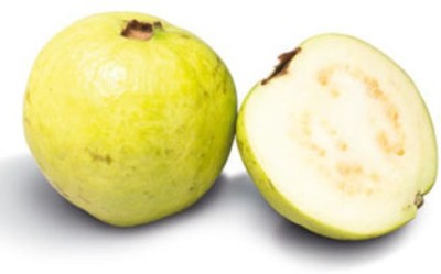 XOLDA Guava ( amrood ) Seed(39 per packet)