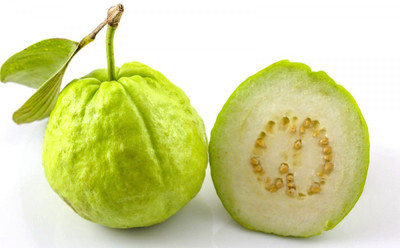 Paudha Guava ( amrood ) Seed(47 per packet)