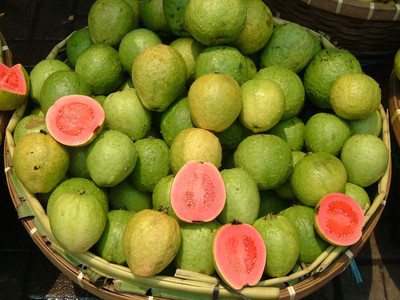 XOLDA Guava ( amrood ) Seed(24 per packet)