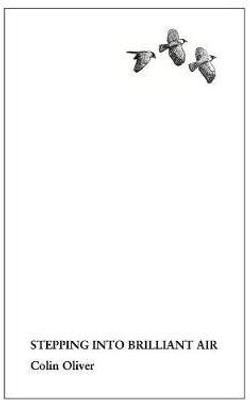 Stepping Into Brilliant Air(English, Paperback, Oliver Colin)