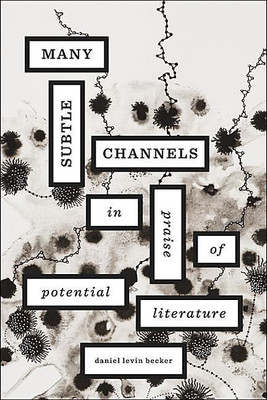 Many Subtle Channels(English, Hardcover, Levin Becker Daniel)