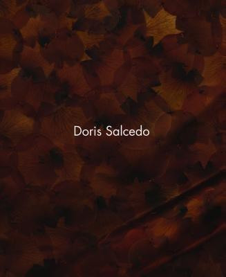 Doris Salcedo(English, Hardcover, unknown)