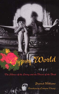 Gypsy World(English, Paperback, Williams Patrick)